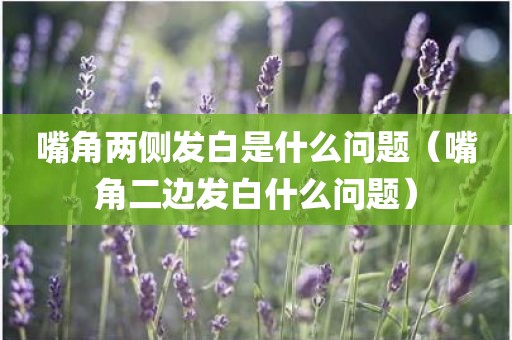 嘴角两侧发白是什么问题（嘴角二边发白什么问题）