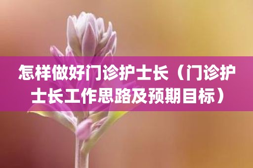怎样做好门诊护士长（门诊护士长工作思路及预期目标）