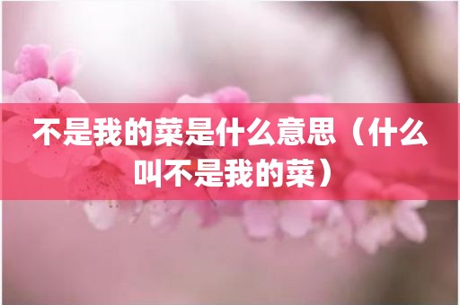 不是我的菜是什么意思（什么叫不是我的菜）