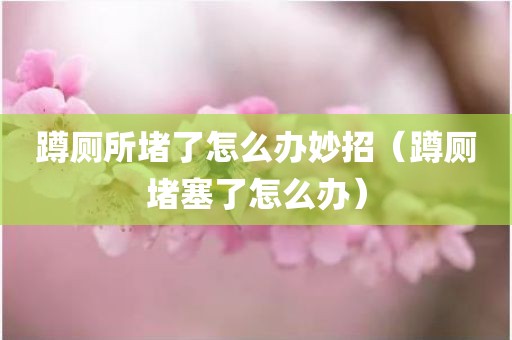 蹲厕所堵了怎么办妙招（蹲厕堵塞了怎么办）