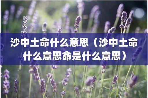 沙中土命什么意思（沙中土命什么意思命是什么意思）