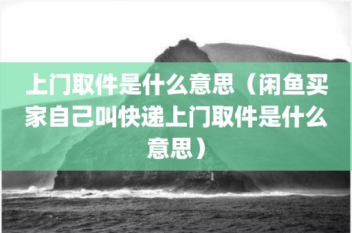 上门取件是什么意思（闲鱼买家自己叫快递上门取件是什么意思）