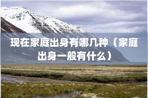 现在家庭出身有哪几种（家庭出身一般有什么）