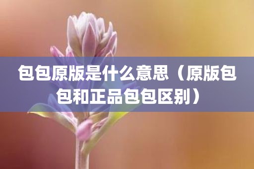 包包原版是什么意思（原版包包和正品包包区别）