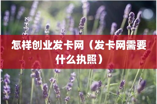 怎样创业发卡网（发卡网需要什么执照）