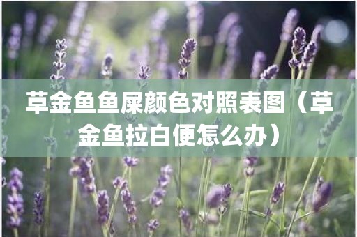 草金鱼鱼屎颜色对照表图（草金鱼拉白便怎么办）