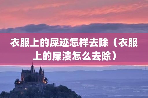 衣服上的屎迹怎样去除（衣服上的屎渍怎么去除）