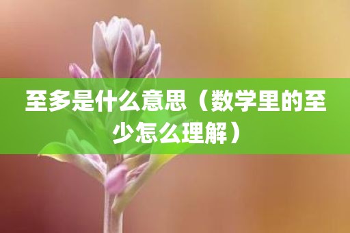 至多是什么意思（数学里的至少怎么理解）