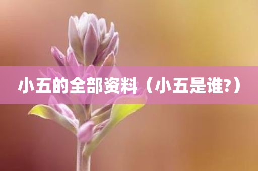 小五的全部资料（小五是谁?）