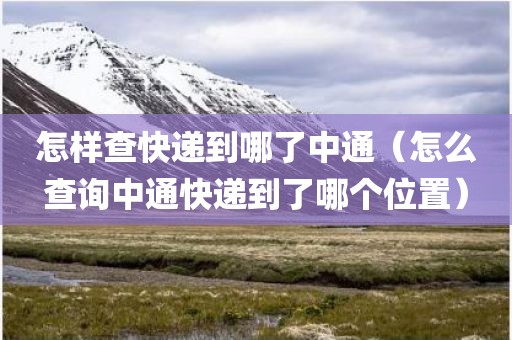 怎样查快递到哪了中通（怎么查询中通快递到了哪个位置）