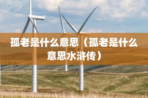 孤老是什么意思（孤老是什么意思水浒传）