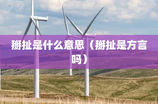 掰扯是什么意思（掰扯是方言吗）