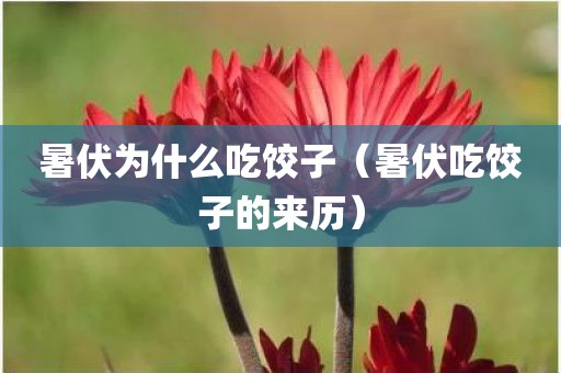 暑伏为什么吃饺子（暑伏吃饺子的来历）