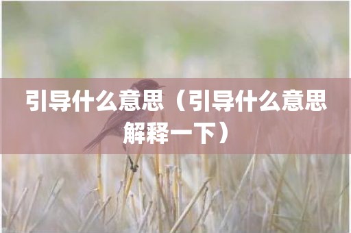 引导什么意思（引导什么意思解释一下）