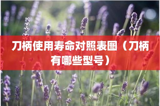 刀柄使用寿命对照表图（刀柄有哪些型号）