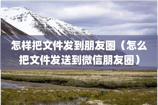 怎样把文件发到朋友圈（怎么把文件发送到微信朋友圈）