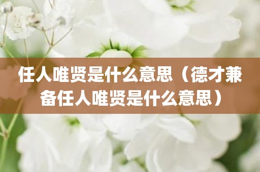 任人唯贤是什么意思（德才兼备任人唯贤是什么意思）