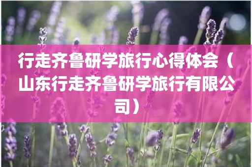 行走齐鲁研学旅行心得体会（山东行走齐鲁研学旅行有限公司）