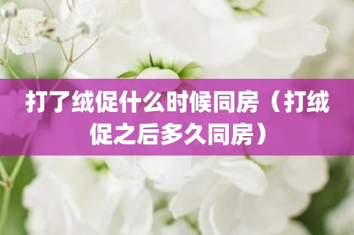 打了绒促什么时候同房(打绒促之后多久同房)