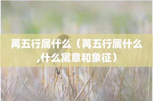 苒五行属什么（苒五行属什么,什么寓意和象征）