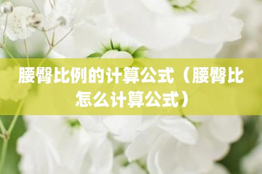 腰臀比例的计算公式（腰臀比怎么计算公式）