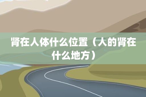 肾在人体什么位置（人的肾在什么地方）