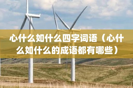 心什么如什么四字词语（心什么如什么的成语都有哪些）