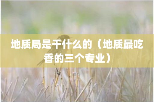 地质局是干什么的（地质最吃香的三个专业）