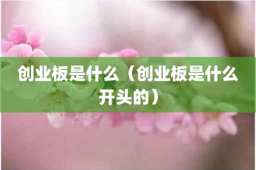 创业板是什么(创业板是什么开头的)