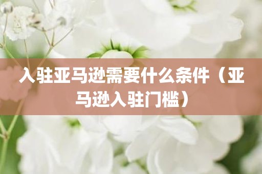 入驻亚马逊需要什么条件（亚马逊入驻门槛）