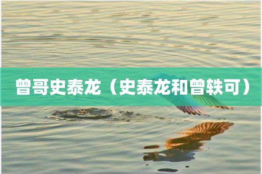 曾哥史泰龙（史泰龙和曾轶可）