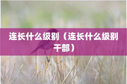 连长什么级别（连长什么级别干部）