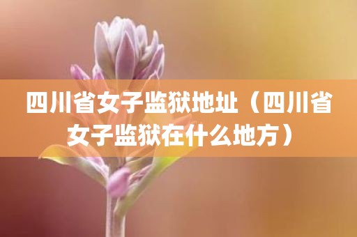 四川省女子监狱地址（四川省女子监狱在什么地方）