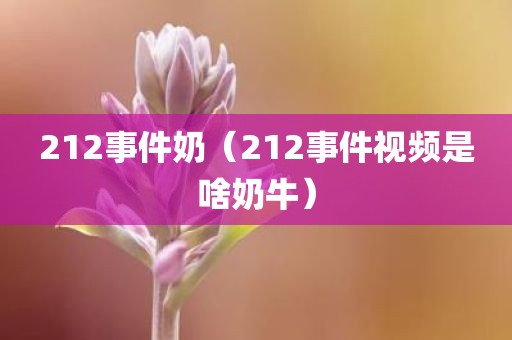 212事件奶（212事件视频是啥奶牛）