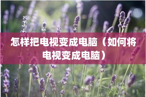 怎样把电视变成电脑（如何将电视变成电脑）