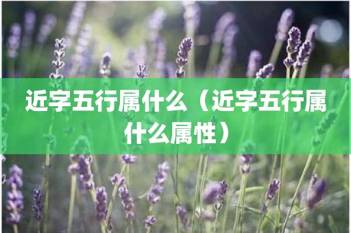 近字五行属什么（近字五行属什么属性）