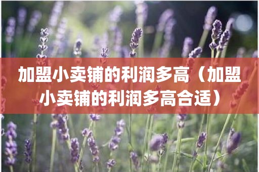 加盟小卖铺的利润多高（加盟小卖铺的利润多高合适）