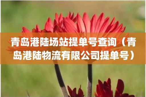 青岛港陆场站提单号查询(青岛港陆物流有限公司提单号)