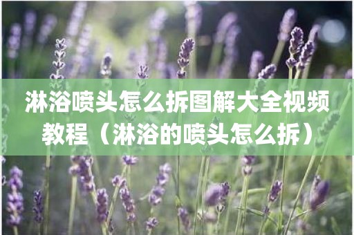 淋浴喷头怎么拆图解大全视频教程（淋浴的喷头怎么拆）