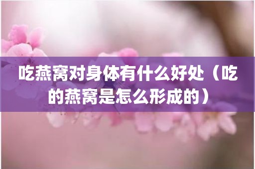 吃燕窝对身体有什么好处（吃的燕窝是怎么形成的）