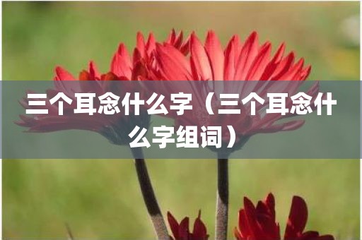 三个耳念什么字（三个耳念什么字组词）