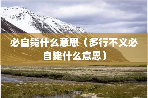 必自毙什么意思（多行不义必自毙什么意思）