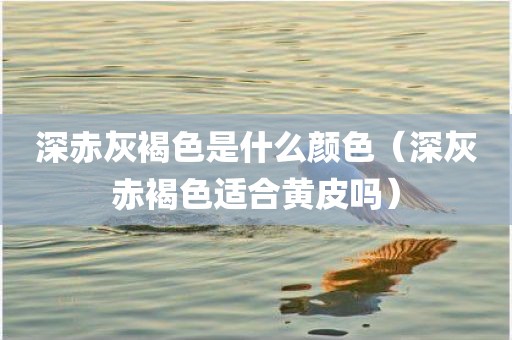 深赤灰褐色是什么颜色（深灰赤褐色适合黄皮吗）