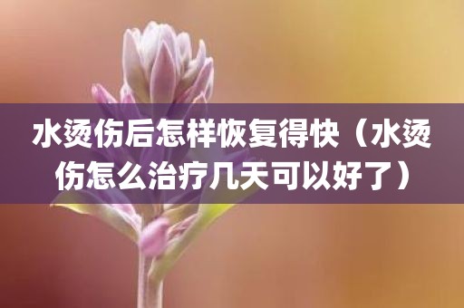 水烫伤后怎样恢复得快（水烫伤怎么治疗几天可以好了）