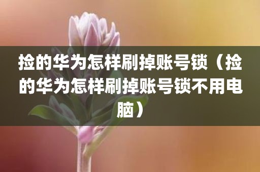 捡的华为怎样刷掉账号锁(捡的华为怎样刷掉账号锁不用电脑)