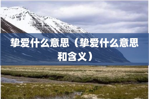 挚爱什么意思（挚爱什么意思和含义）
