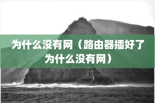 为什么没有网（路由器插好了为什么没有网）