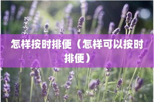怎样按时排便（怎样可以按时排便）