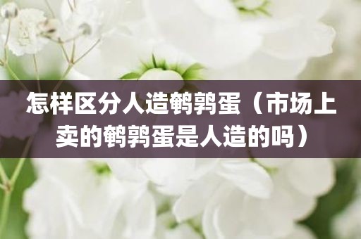 怎样区分人造鹌鹑蛋(市场上卖的鹌鹑蛋是人造的吗)