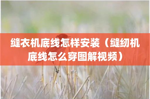 缝衣机底线怎样安装（缝纫机底线怎么穿图解视频）